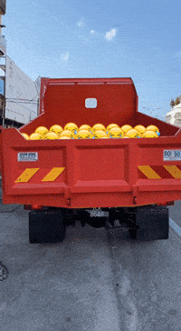 Laughter Laughing GIF