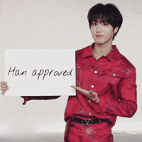 Skz Straykids GIF