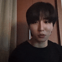 Skz Straykids GIF