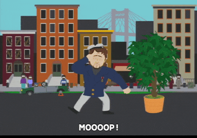 Boat Captain GIF by South Park