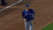 Blue Jays Baseball GIF by Toronto Blue Jays