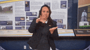 Work Learn GIF