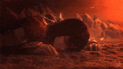 Magic The Gathering Eyes GIF by Xbox