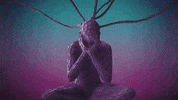 reality GIF by Bro Safari