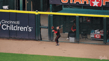 Baseball Mlb GIF by Cincinnati Reds