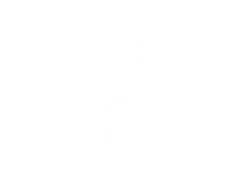 Flower Plant Sticker by Studio Paper