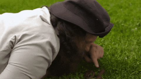 Awesome GIF by StittsvilleOnPatrol