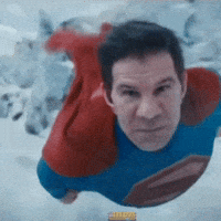 Dave Meltzer Wwe GIF