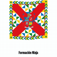 Flag Spain GIF by Formación Ninja