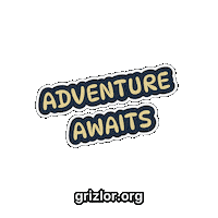 Fun Bear Sticker by grizlor