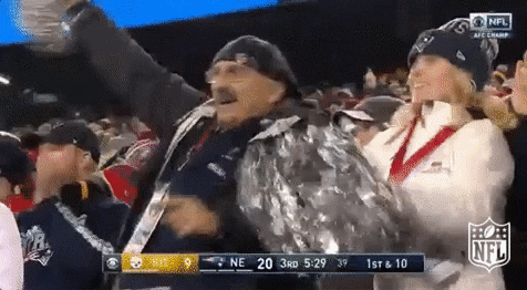 New England Patriots Football GIF by NFL