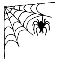 Spider Web Halloween Sticker by jdsports