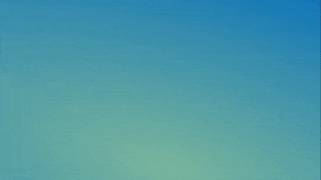 ONS Nissewaard - Meer festivals - standpunten 