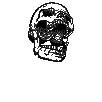 New Post Skull Sticker by Witchin Store