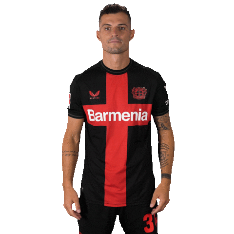 Posing Bayer 04 Sticker by Bayer 04 Leverkusen