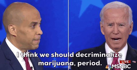 Joe Biden Weed GIF by Election 2020