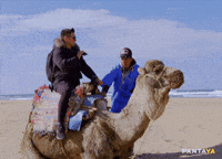 Familia Lol GIF by Pantaya