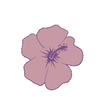 Flower Hibiscus Sticker