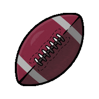 Football Sticker by FSU ITS