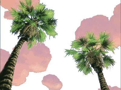 palm trees my edit STICKER
