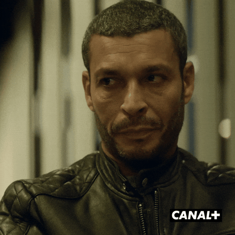 Told You Lol GIF by CANAL+