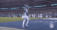 Regular Season Football GIF by NFL