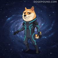 Shiba Inu Dance GIF by Doge Pound