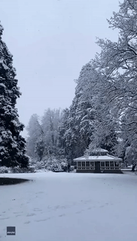Rare Snowfall Creates 'Amazing' Wintry Scenes in New South Wales