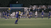 Ncaa Soccer GIF by gamecocksonline