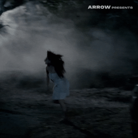 Friday The 13Th Film GIF by Arrow Video