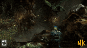 mk GIF by Mortal Kombat 11