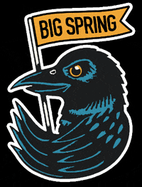 bigspringmedia big spring media bsm gold GIF