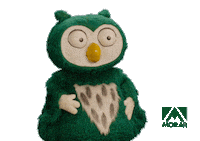 Cora Decidir Sticker by Morar Construtora