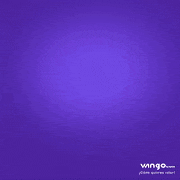 GIF by Wingo