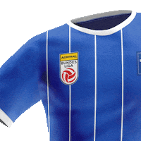 Bundesliga Oberösterreich Sticker by ADMIRAL