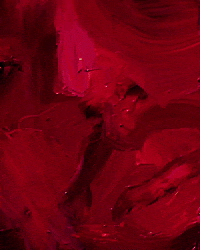 Heart Portrait GIF by Sweet Fellas