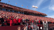 celebration crowd GIF