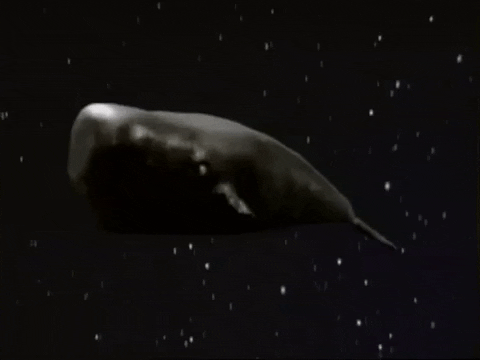 The Hitchhikers Guide To The Galaxy Whale GIF by Harborne Web Design Ltd