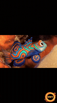 3Danimation GIF