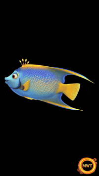 3Danimation GIF