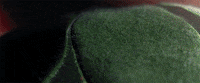 beauty fruit GIF by Woodblock