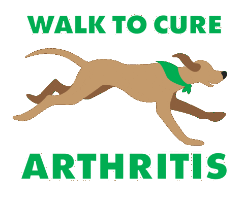 Dog Running Sticker by Arthritis Foundation