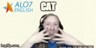 cat total physical response GIF by ALO7.com