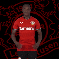 I Love You Heart GIF by Bayer 04 Leverkusen