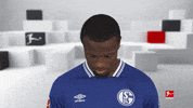 Line Up Smile GIF by Bundesliga