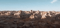 new mexico GIF