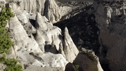 new mexico GIF