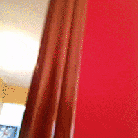chewie GIF by Brittlestar