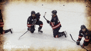robert morris fun GIF by Robert Morris University Athletics