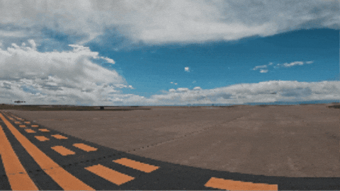 sydisenbergD7 giphygifmaker GIF